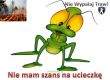 Nie wypalaj traw — straż pożarna ostrzega — zdjęcie 10