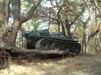 Amfibia ARGO w programie „Gadżet” — TVN Turbo — zdjęcie 35